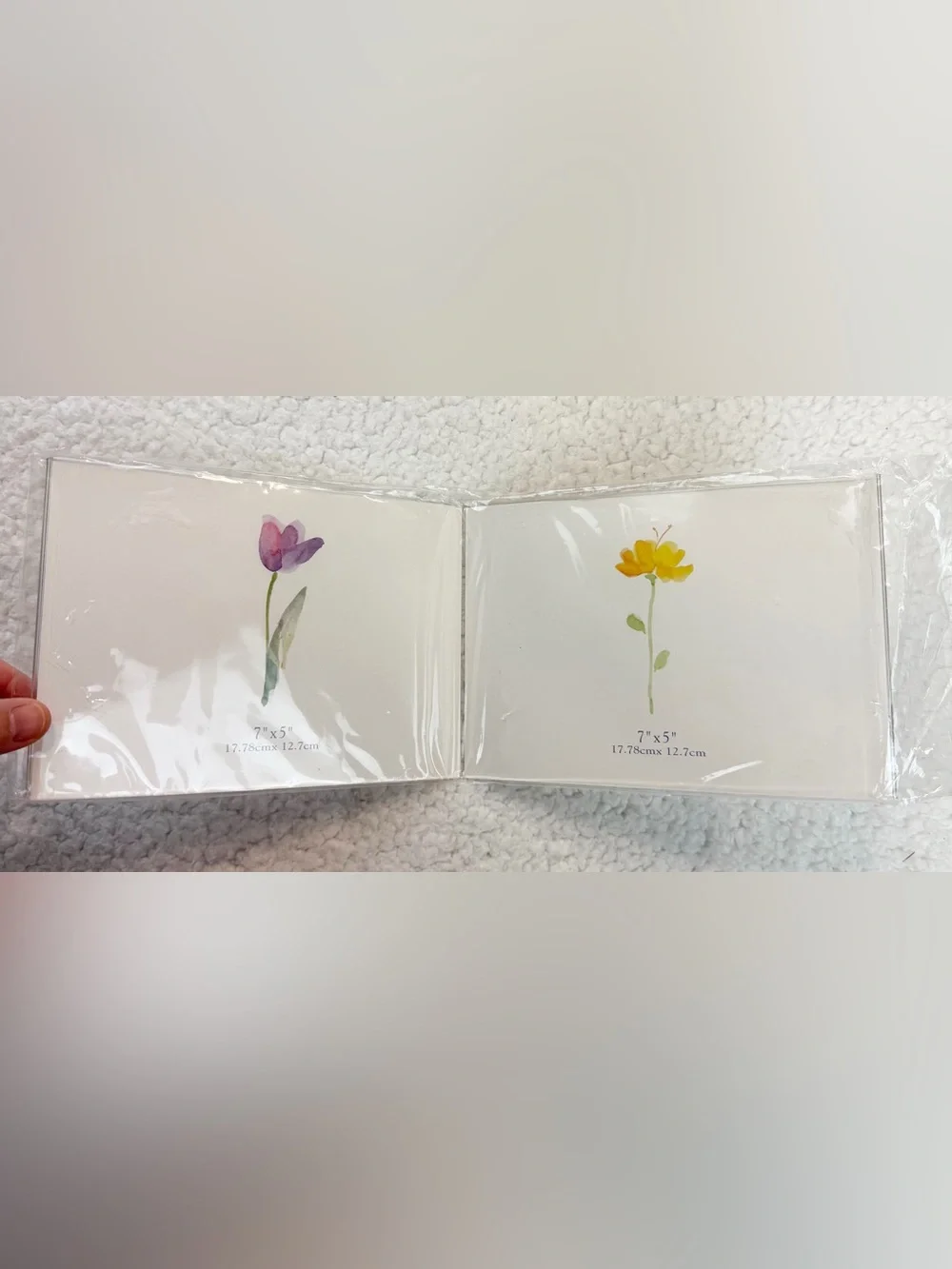 (VTG) LONG'S • Clear Acrylic Double Picture Frames, Set of 4